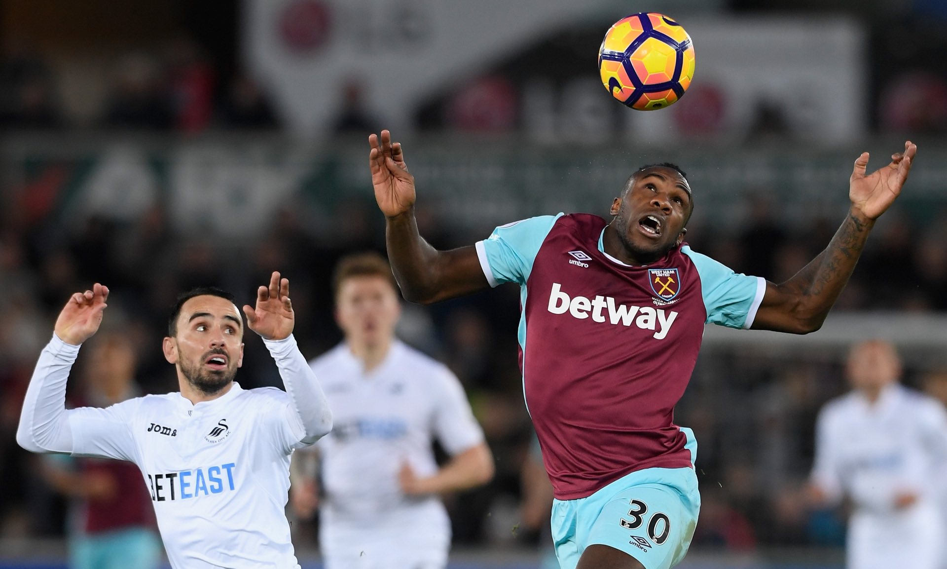 他们凭借坚 他们凭借坚